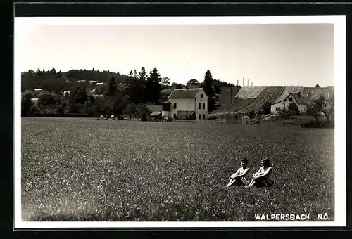 AK Walpersbach, Ortsansicht mit Wiese