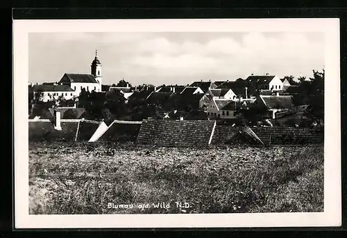 AK Blumau a. d. Wild, Ortspanorama von einem Feld gesehen