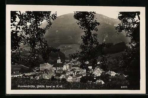 AK Ybbsitz, Gesamtansicht mit Berg aus der Vogelschau
