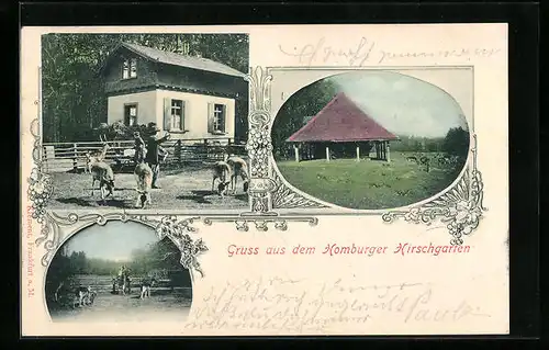 AK Homburg, Homburger Hirschgarten, Mehrfachansicht