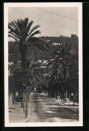 AK Nervi, Viale delle Palme