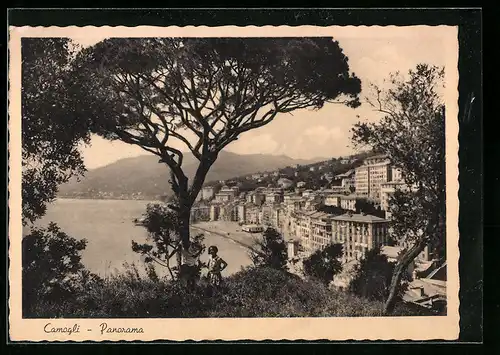 AK Camogli, Panorama