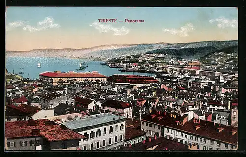 AK Trieste, Panorama