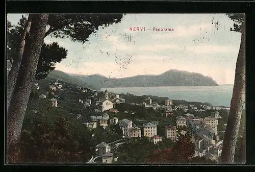 AK Nervi, Panorama