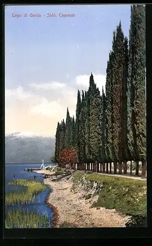 AK Saló, Lago di Garda, Cypressi