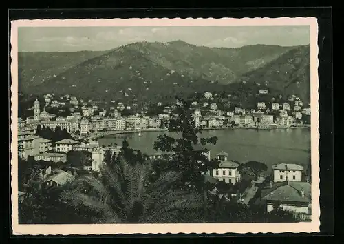 AK Rapallo, Panorama