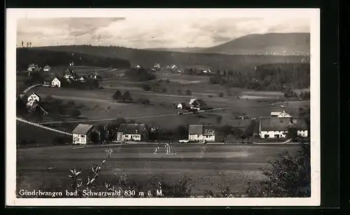 AK Gündelwangen, Blick über die Ortschaft