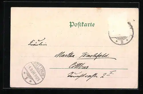 AK Greifswald, Markt mit Marienkirche