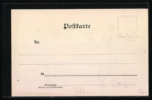 Lithographie Regensburg, Panorama, Strassenpartie, Kirchen