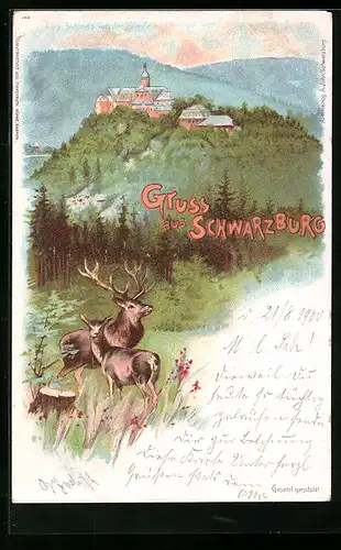 Lithographie Schwarzburg, Hirsch im Wald mit Schloss auf Berg