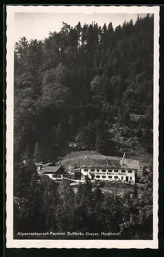AK Törwang, Alpen-Gasthaus u. Pension Duftbräu von M. Wallner