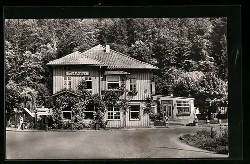 AK Ilfeld /Südharz, Gasthaus Netzkater im Sonnenschein