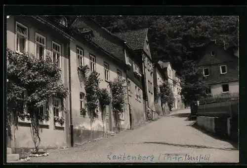 AK Leutenberg /Thür., Strassenpartie im Sonnenschein