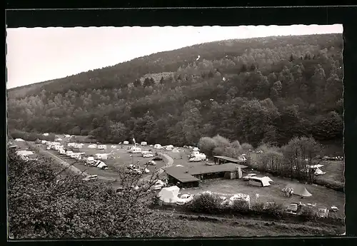 AK Hirschhorn a. N., Totalansicht vom Campingplatz