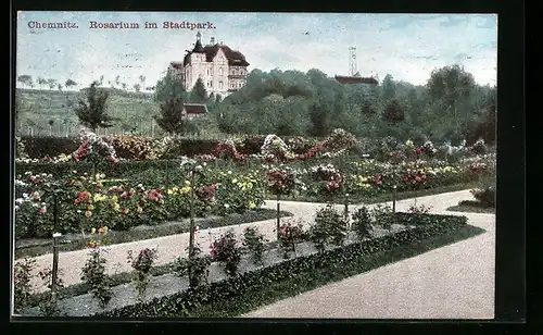 AK Chemnitz, Rosarium im Stadtpark