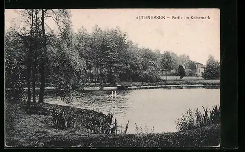 AK Altenessen, Partie im Kaiserpark