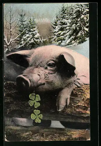 AK Liegendes Schwein auf einem Baumstamm, Glücksklee