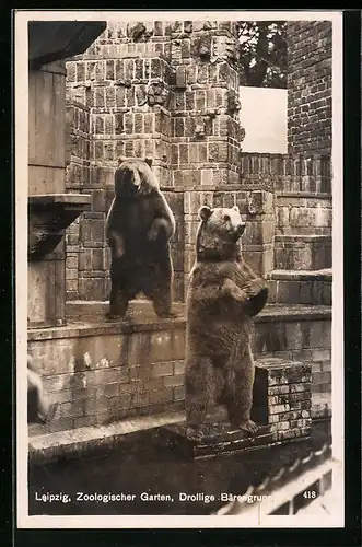 AK Leipzig, Zwei stehende Bären, Zoologischer Garten