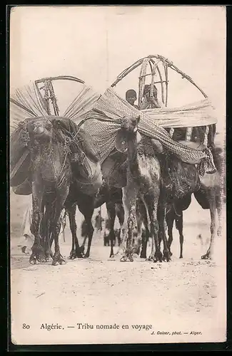 AK Algérie, Tribu nomade en voyage, Kamele