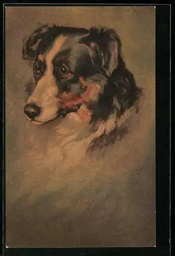 AK Kopfportrait eines Hundes