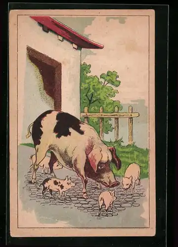 AK Muttersau mit Ferkeln in einem Hof