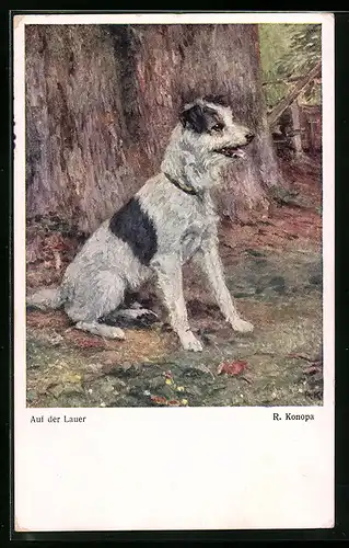 Künstler-AK R. Konopa: Auf der Lauer, Terrier