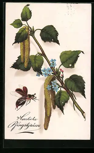 AK Fliegender Maikäfer vor Birkenzweig mit bunten Blüten, Pfingstgruss