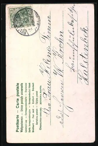 Lithographie Zwei Maikäfer an einer Birke, Pfingstgruss