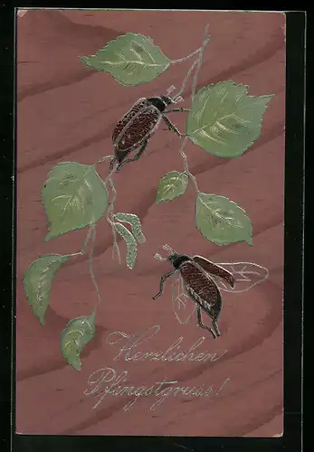 Präge-AK Zwei Maikäfer und Birkenzweig, Pfingstgruss