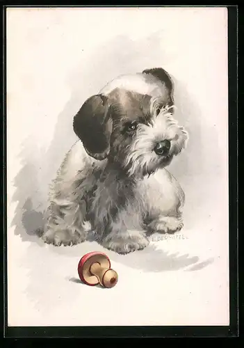 AK Kleiner Hund mit Kreisel