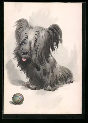 Künstler-AK Kleiner sitzender Yorkshire-Terrier mit Ball