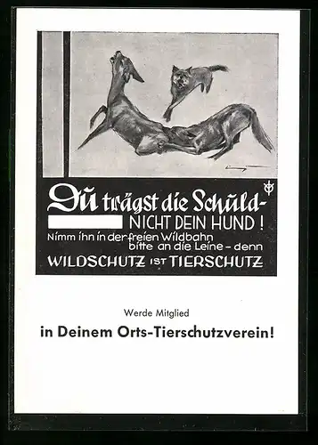 AK Appell zum Anleinen von Hunden, Wildschutz ist Tierschutz