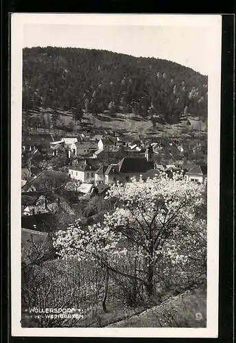 AK Wöllersdorf, Teilansicht von den Weingärten aus