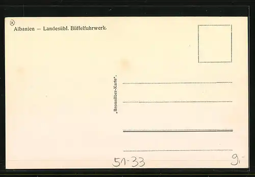 AK Albanien, Landesübl. Büffelfuhrwerk