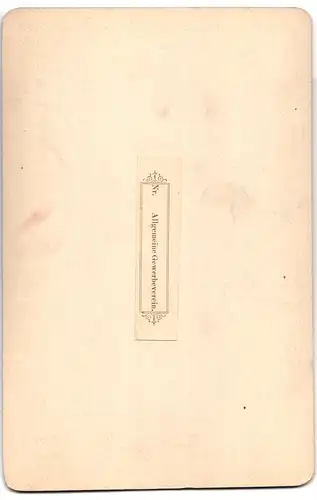 Fotografie G. Stuffler, München, Ansicht München, Wagen des Allgemeinen Gewerbevereins zur Centenarfeier 1888