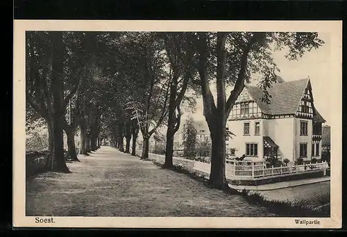 AK Soest, Wallpartie