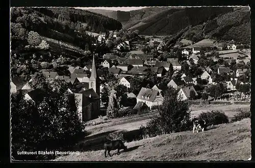 AK Bilstein /Sauerland, Ortsansicht