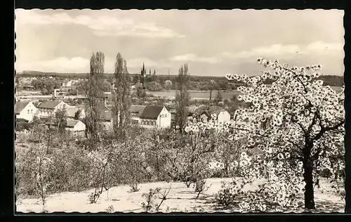 AK Werder /Havel, Blick von der Wachtelburg auf die Insel