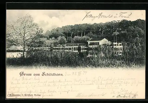 AK Berlin-Grunewald, Schildhorn, Blick auf den See