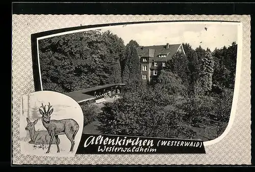 AK Altenkirchen /Westerwald, Blick auf das Westerwaldheim