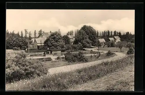 AK Crawinkel /Thür., Häuser zwischen den Bäumen
