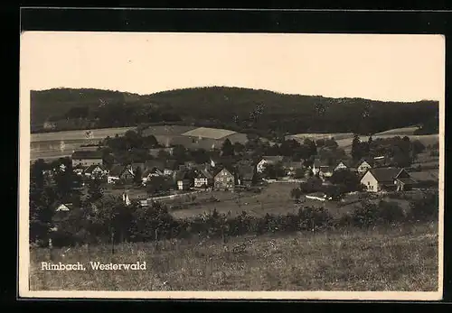 AK Rimbach /Westerwald, Ortsansicht im Grünen