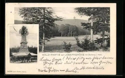 AK Stolberg i. Harz, Wald-Partie mit Josephshöhe