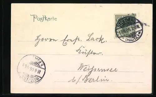 AK Stolberg i. Harz, Wald-Partie mit Josephshöhe