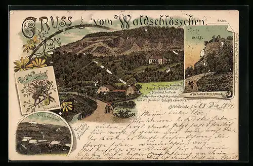 Lithographie Bleicherode, Gasthaus Waldschlösschen mit Strasse aus der Vogelschau, Weg nach der Töpferhöhle mit Kanzel