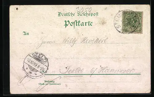 Lithographie Steinhude, Strand-Hotel am Steinhuder Meer