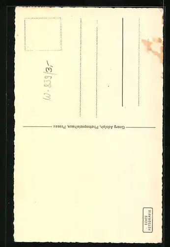 AK Passau, die Domorgel