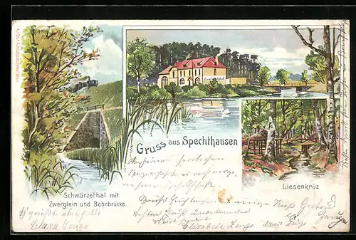 Lithographie Spechthausen, Gasthaus zum Waldhof, Liesenkrüz, Schwärzetal mit Zwerglein und Eisenbahnbrücke