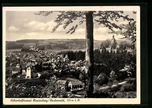 AK Marienberg /Westerwald, Teilansicht aus der Vogelschau