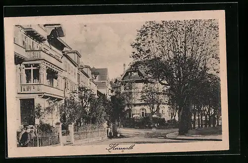 AK Herrenalb, Strassenpartie mit Villen